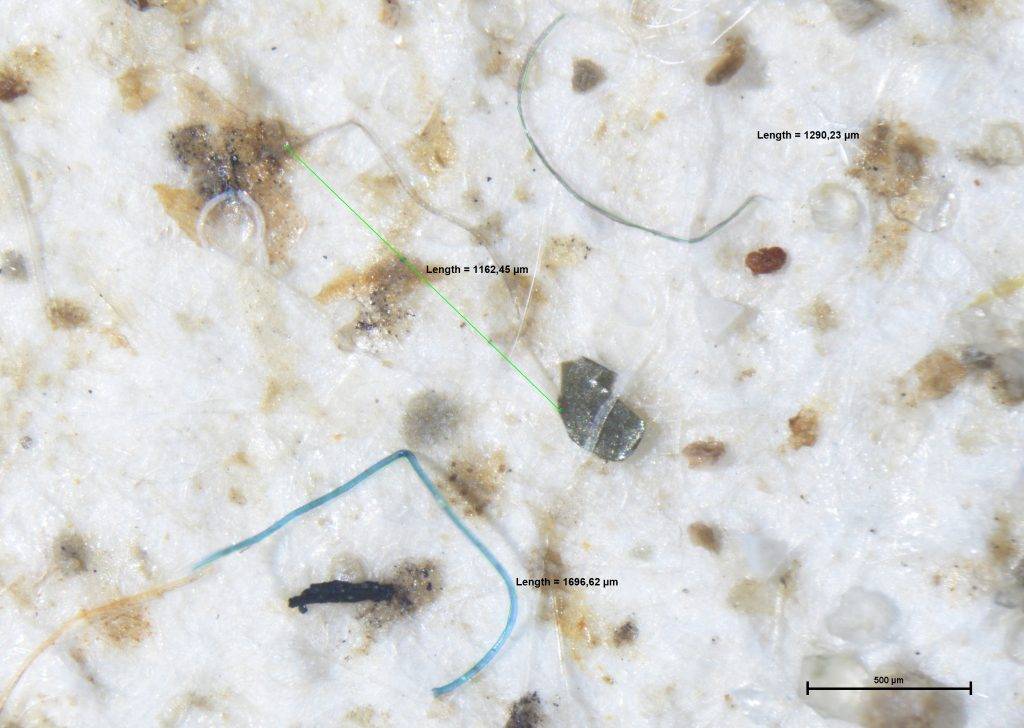 Measuring Marine Plastics in the Belgian Part of the North Sea – MARECO