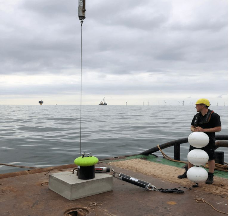 Hydrophones MARECO hydrophones-mareco